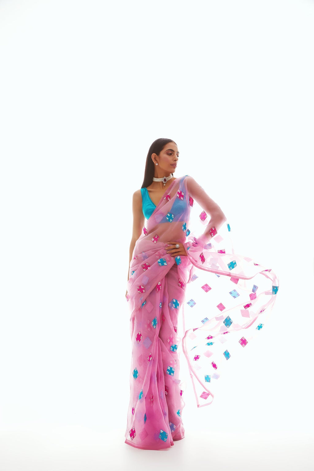 Daisy Women's Designer Saree | Hand Embroidered Organza, Party Wear 0