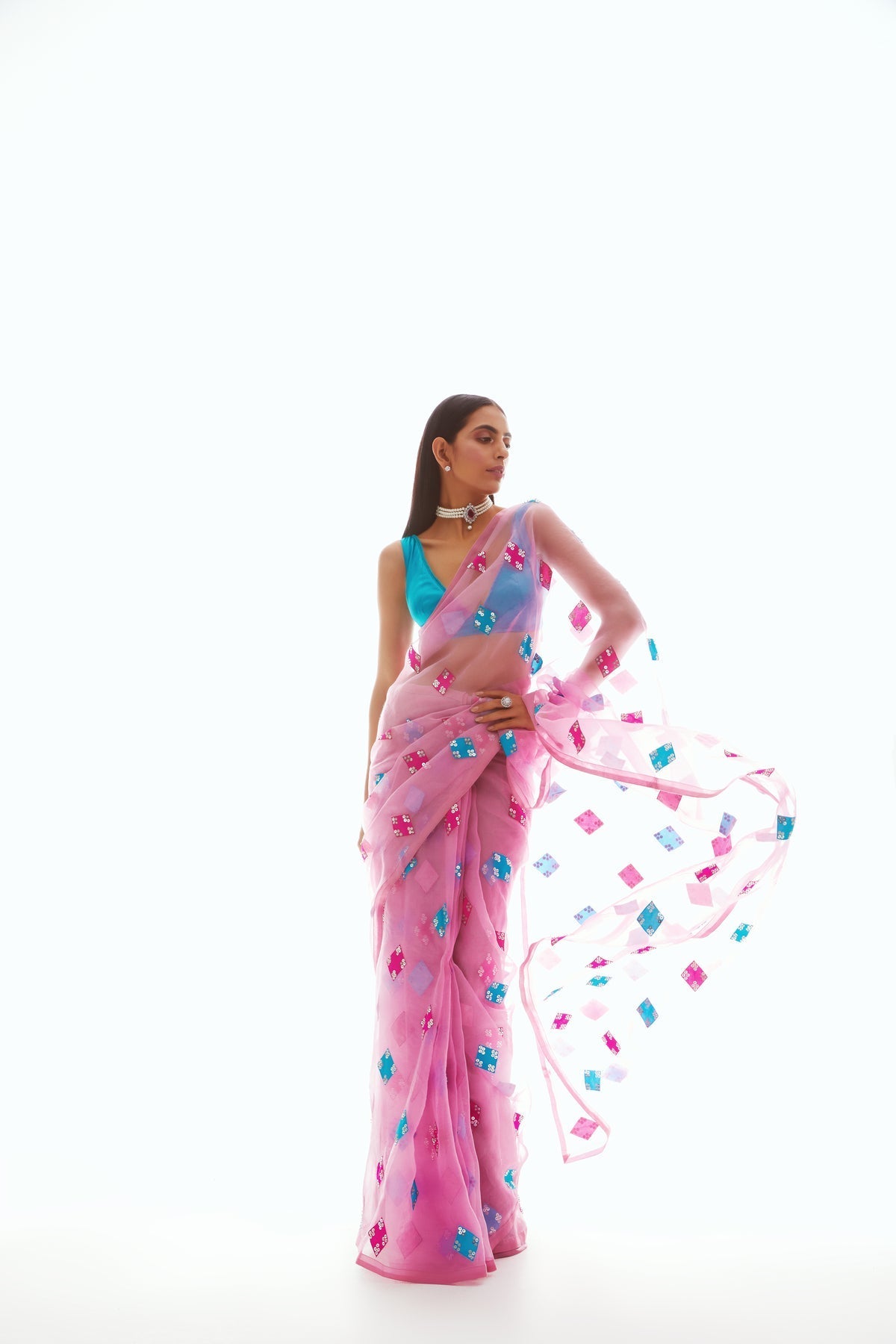 Daisy Women's Designer Saree | Hand Embroidered Organza, Party Wear 0