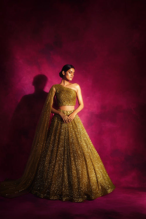 Dalia Women's Lehenga Set | Hand Embroidered Sequins, One Shoulder Design 0