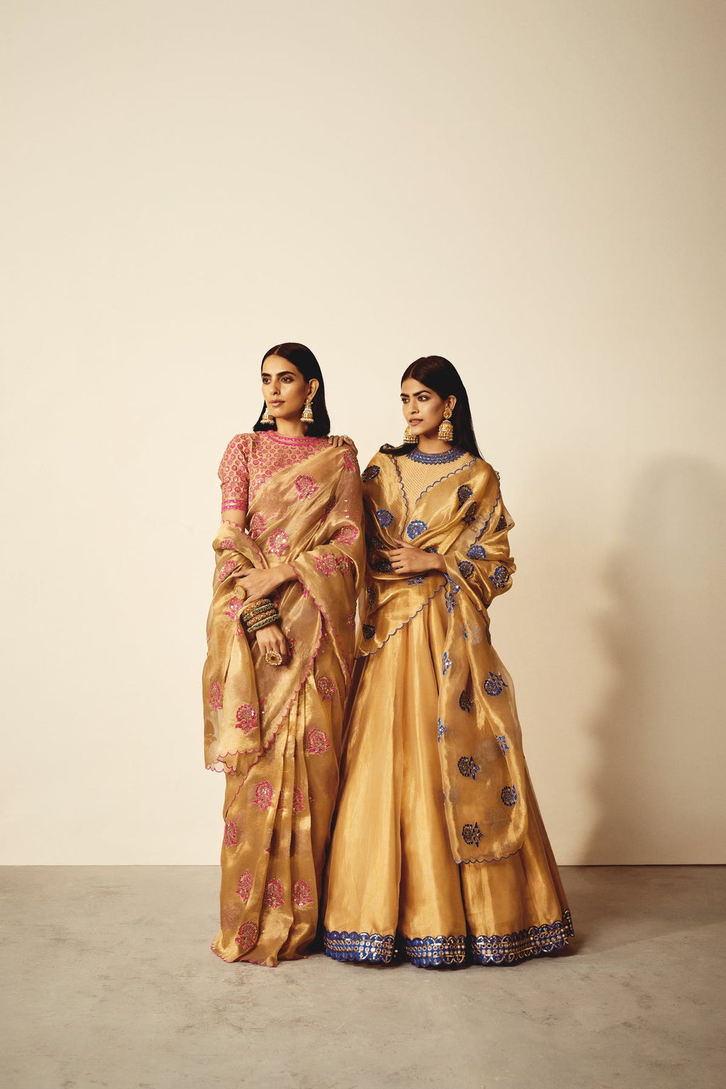 Mira Women's Saree Set | Hand Embroidered Gold Tissue 0